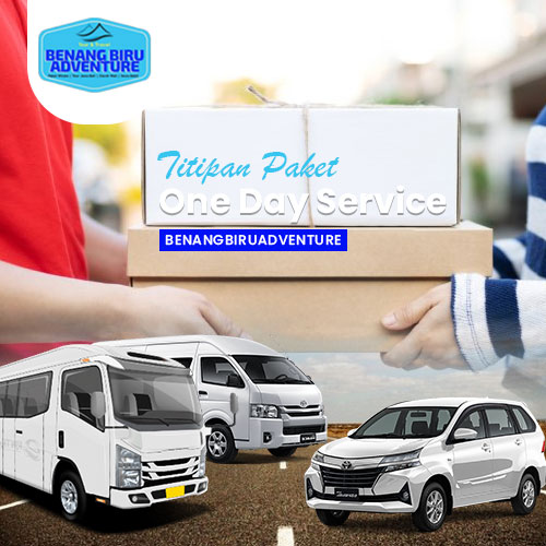 Titipan paket one day service